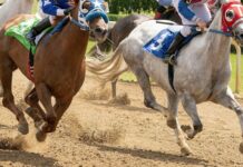 Gardiner quinella at Bundaberg