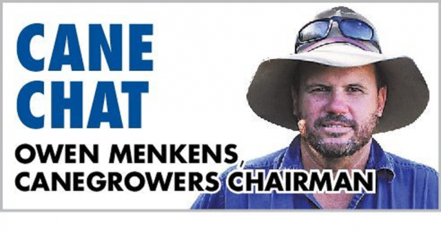 canechatbu_284286_02