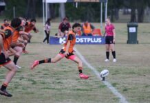 Tiger cub kicking goals