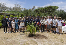 Queensland family celebrates 20 years of pioneering eco-tourism on the Great Barrier Reef