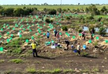 One year of growing a greener future at Charlotte’s Wood with Bargara Lions