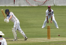 Pope’s influence inspires Waves