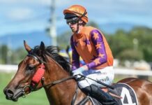 Mare’s Bundy win far from Secret