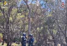 Mum saves teen hiker’s da