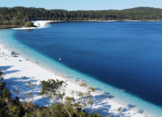 Wild dingoes to be euthanised after teen’s death at K’gari