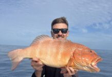 Excellent fishing over Christmas and New Year