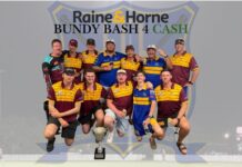 Waves claim T20 silverware