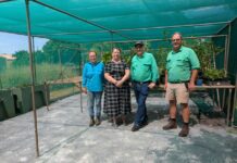 Local collaboration grows new opportunities