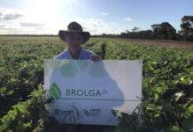 Mungbean course a success