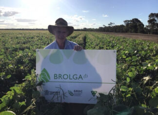 Mungbean course a success