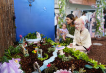 Beauty of garden brings community together