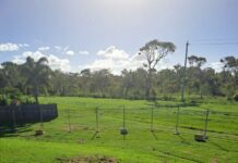 Sink holes close Bargara Park