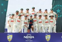 Lucy dazzles on Test debut