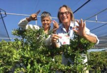 Childers continues to rave about Rubyberry