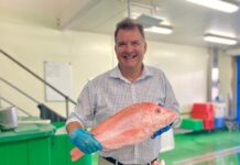 Safety and health hoped for