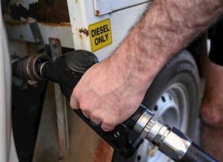 Council body calling for essential service status